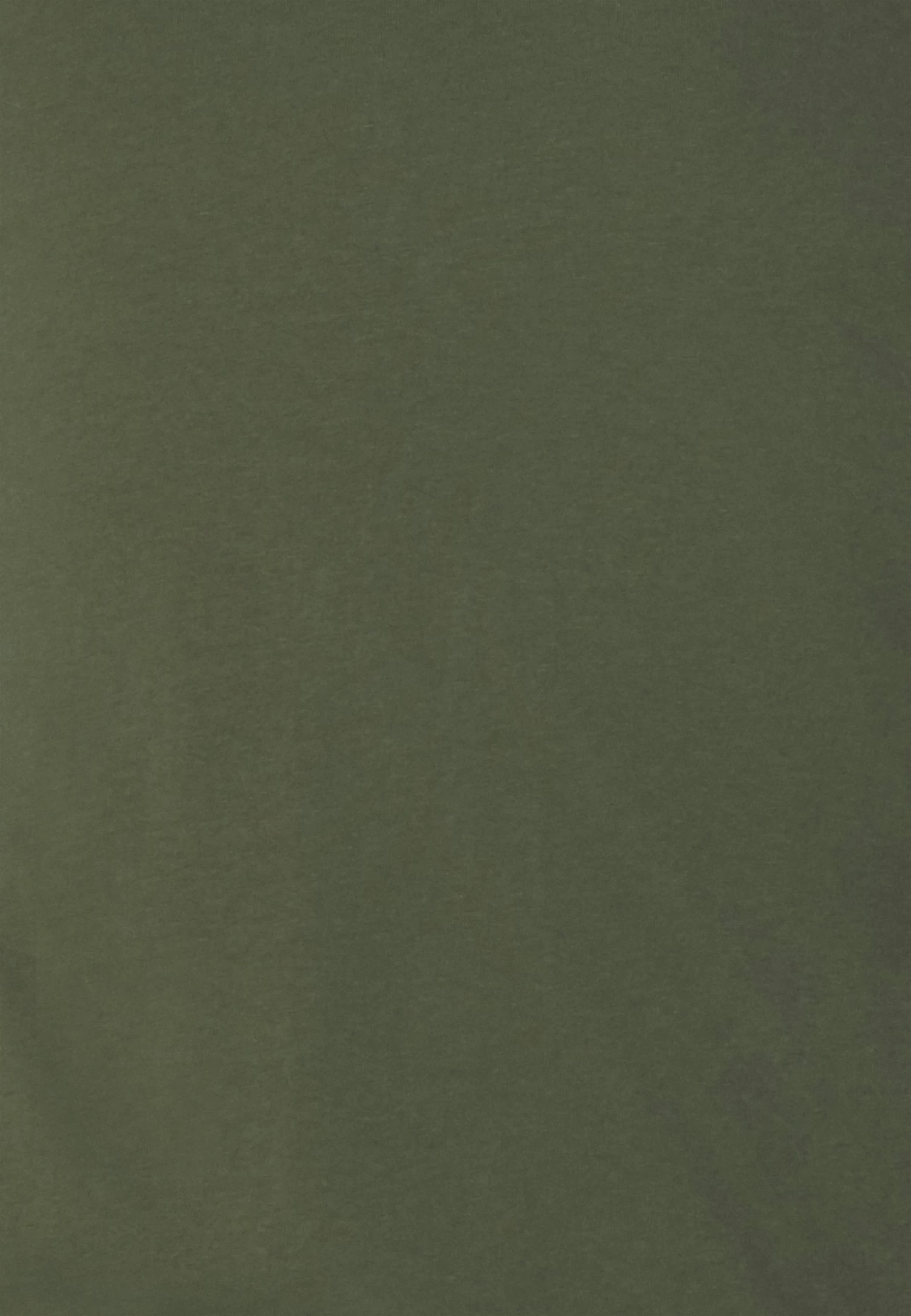 Pier One 2 Pack - Long Sleeved Top - Off-White/Dark Green 8 Pier One 2 Pack - Long Sleeved Top - Off-White/Dark Green - Image 6